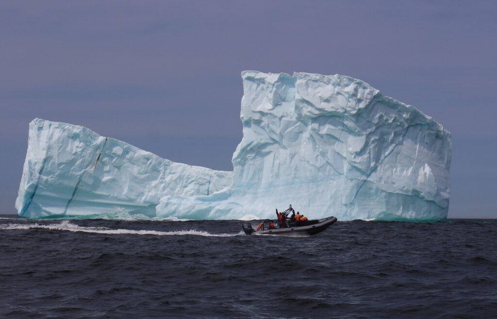 Sea Of Whales Adventures