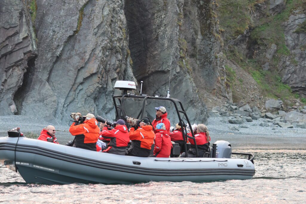 A group of photographers shooting from a zodiac boat along the Bonavista peninsula.