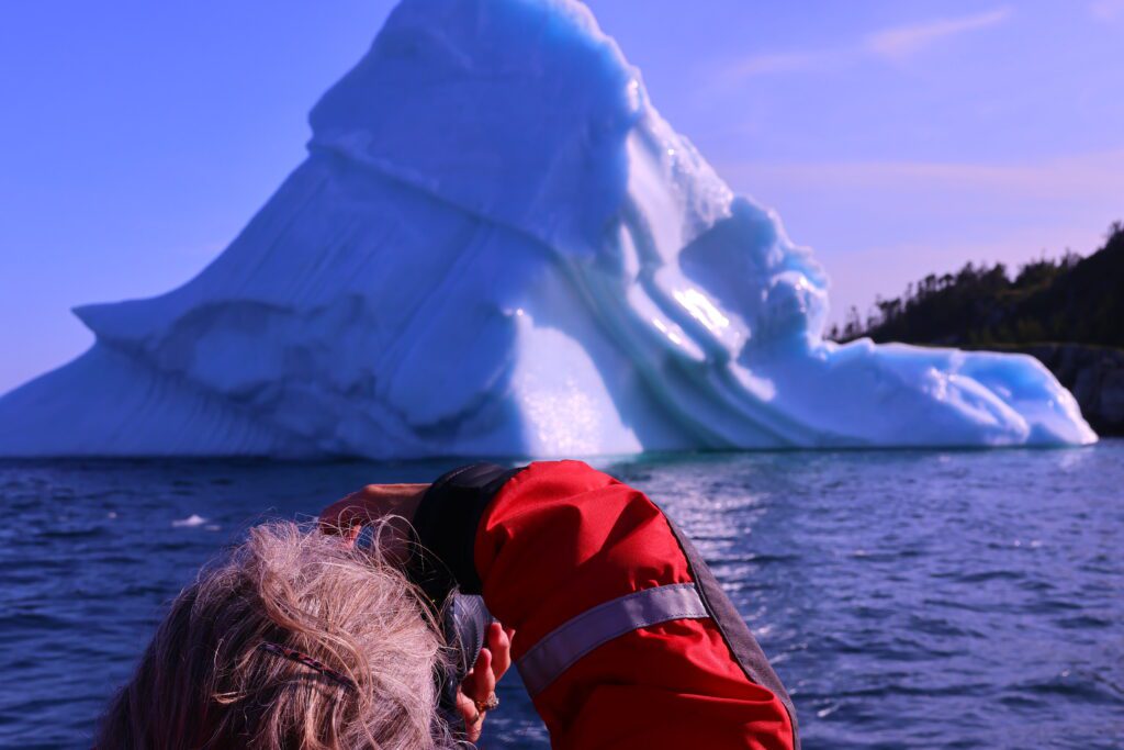 taking photos of icebergs from a sea of whales adventures zodiac boat tour