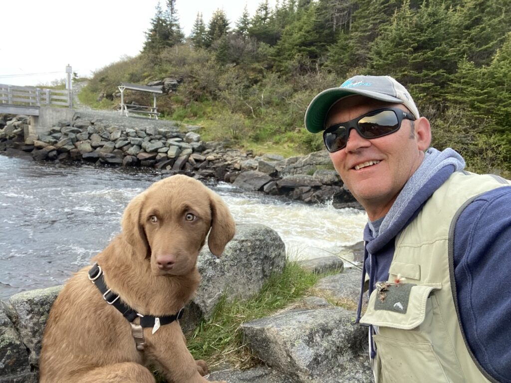 a day in the life of a whale watching captain in newfoundland