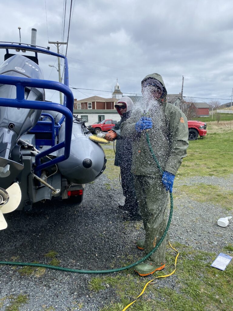 getting ready for whale watching and iceberg season in Newfoundland